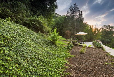 Refined image lawn and landscape, softscapes, snow & ice, lawn cutting & maintenance, residential & commercial lawn care, dunnville, ON